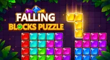 Falling Blocks Puzzle