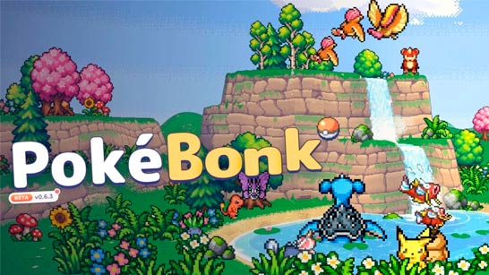 How to play Pokébonk correctly